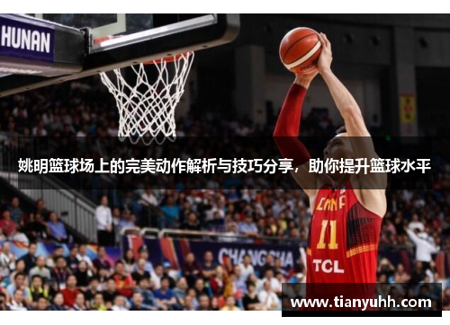 姚明篮球场上的完美动作解析与技巧分享，助你提升篮球水平